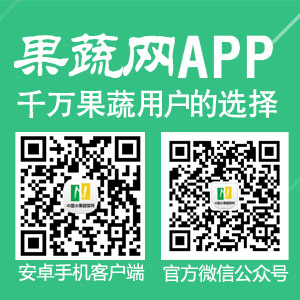 �Ї�ˮ���߲˾WAPP